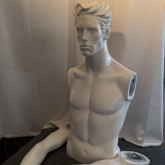 Male Mannequin Male Torso w Removable Arms Commercial Grade - Picture 8 of 8